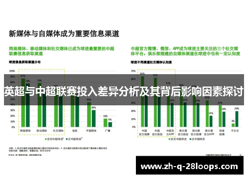英超与中超联赛投入差异分析及其背后影响因素探讨 英超与中超联赛投入差异分析及其背后影响因素探讨